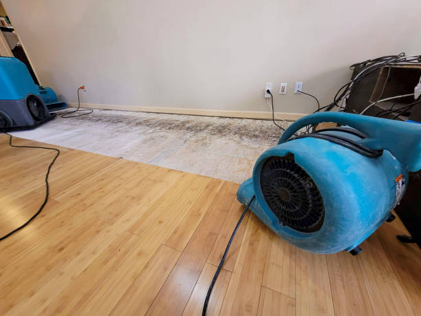 Professional Basement Flood Cleanup technician working in Aberdeen, MS